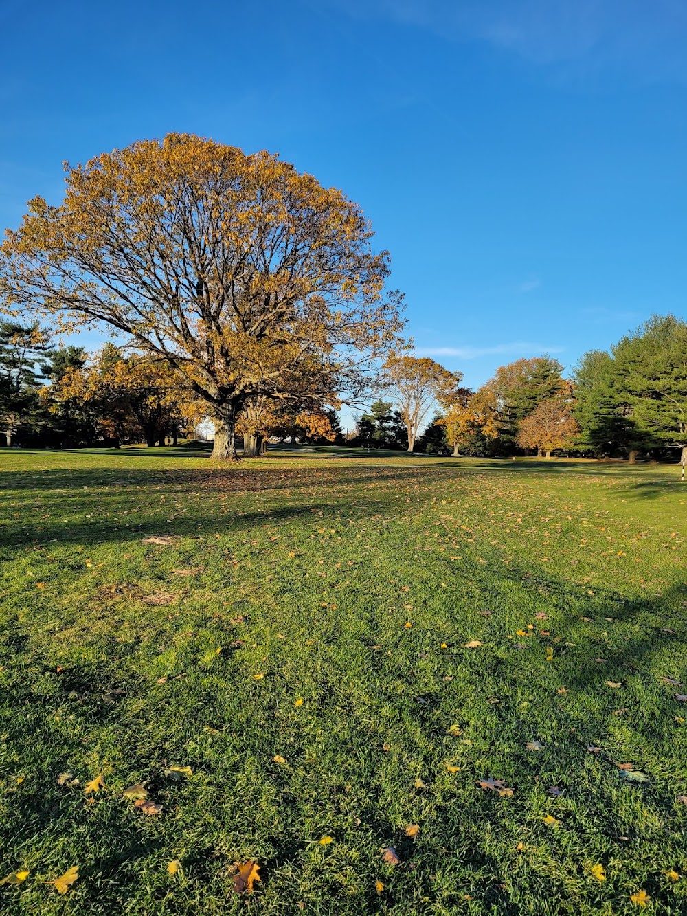 Dunwoodie Golf Course