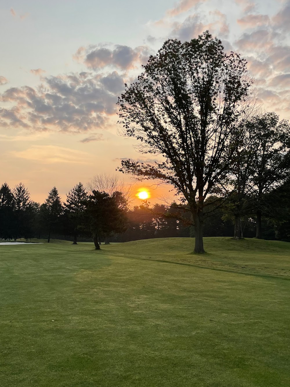 The Meadows at Middlesex